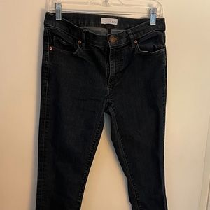Ann Taylor LOFT Jeans